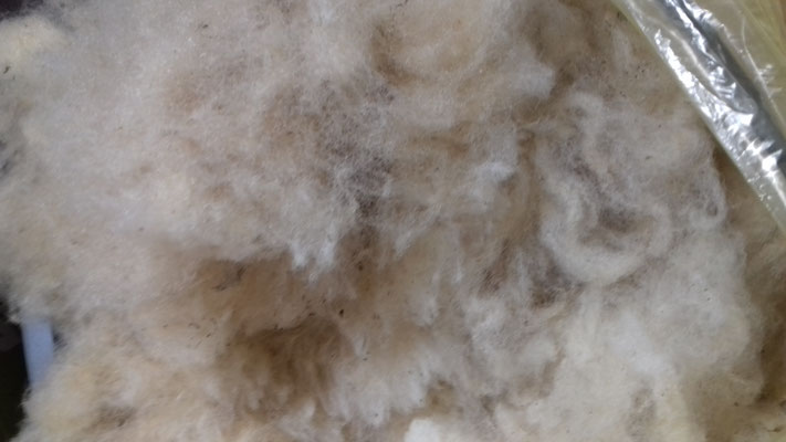 couleur naturelle, teinture textile, laine, soie, magasin de laine, développement durable, kit, diy, achat laine, laine locale