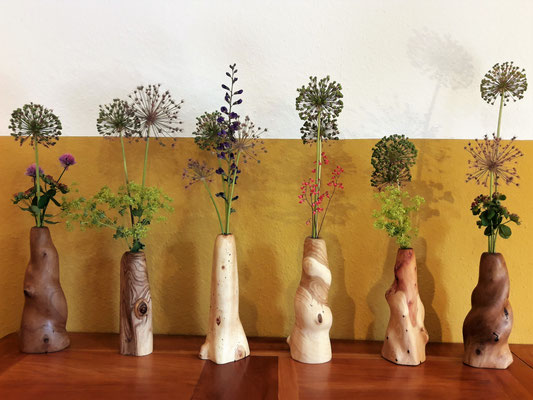 Vasenvariationen (Birne/Sophora/Zypresse/Thuja/Wacholder/Birne)