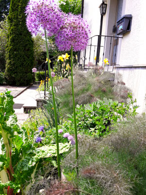 Gartenpflege Pflanzen Naturgarten Baumpflege Stauden Würzburg