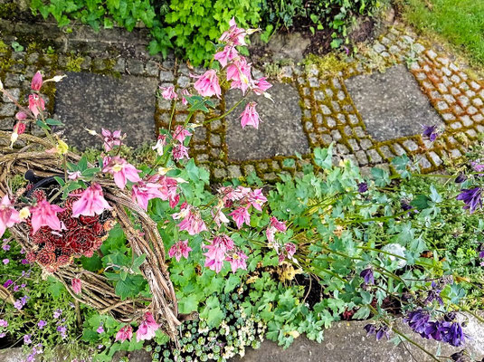 Gartenpflege Pflanzen Naturgarten Baumpflege Stauden Würzburg