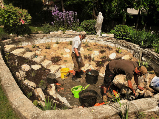 Gartenpflege Pflanzen Naturgarten Baumpflege Stauden Würzburg