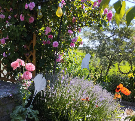 Gartenpflege Pflanzen Naturgarten Baumpflege Stauden Würzburg