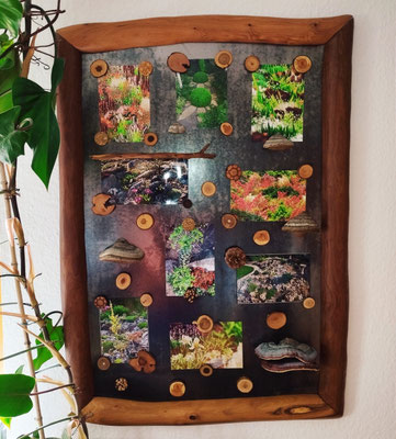 Magnet-Memoboard - WildholzBilderrahmen/Metallplatte Rostantikoptik - Astscheibenmagnete/Magnete divers