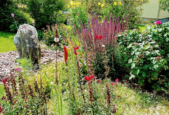 Gartenpflege Pflanzen Naturgarten Baumpflege Stauden Würzburg