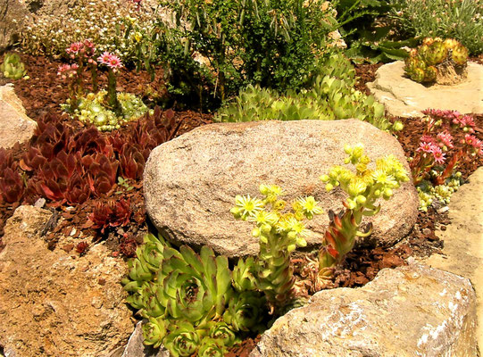 Gartenpflege Pflanzen Naturgarten Baumpflege Stauden Würzburg