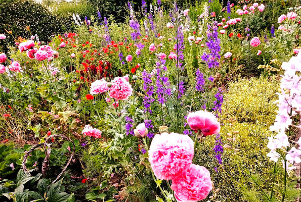 Gartenpflege Pflanzen Naturgarten Baumpflege Stauden Würzburg