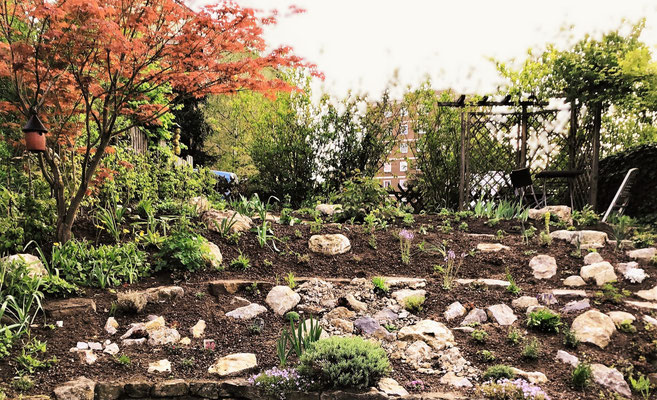 Gartenpflege Pflanzen Naturgarten Baumpflege Stauden Würzburg