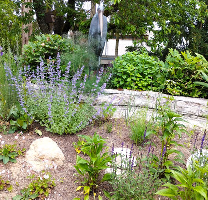 Gartenpflege Pflanzen Naturgarten Baumpflege Stauden Würzburg