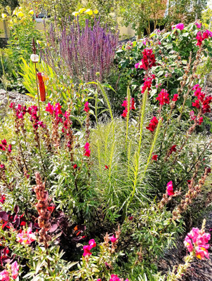 Gartenpflege Pflanzen Naturgarten Baumpflege Stauden Würzburg