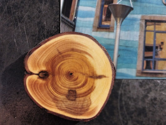 AstscheibenMagnet Eibe