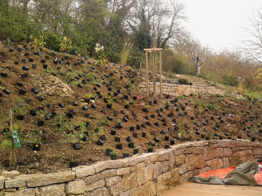 Natursteinarbeiten Pflasterarbeiten Trockenmauer Würzburg
