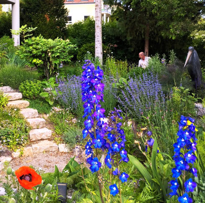Gartenpflege Pflanzen Naturgarten Baumpflege Stauden Würzburg