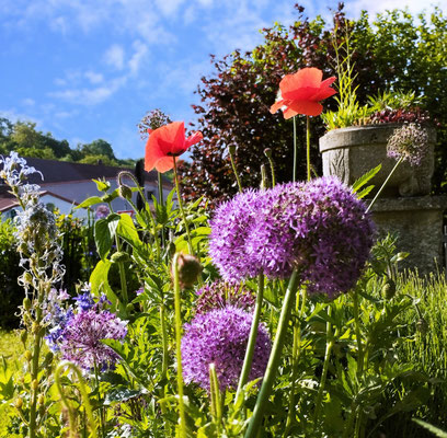 Gartenpflege Pflanzen Naturgarten Baumpflege Stauden Würzburg
