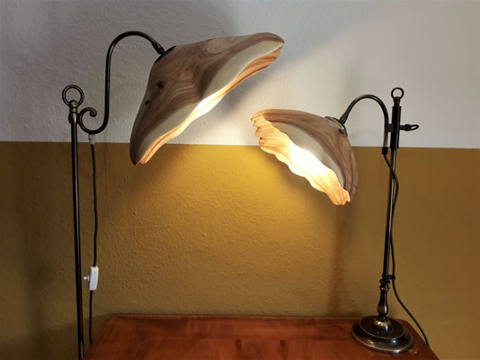 Lampenschirme Thuja/ Upcycling alte Messinglampe