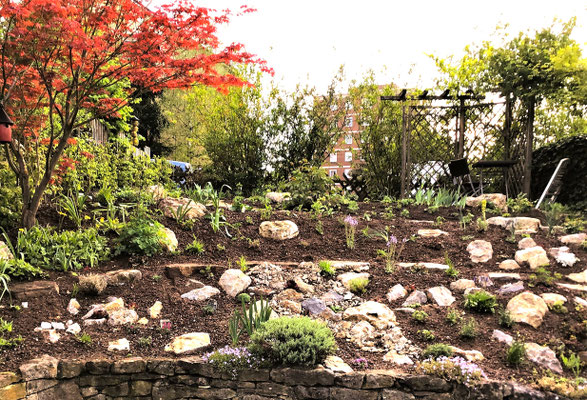 Gartenpflege Pflanzen Naturgarten Baumpflege Stauden Würzburg