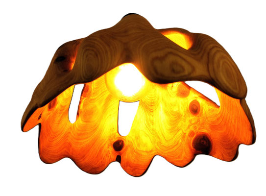 Wildholzlampe Scheinzypresse