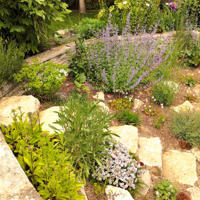 Gartenpflege Pflanzen Naturgarten Baumpflege Stauden Würzburg