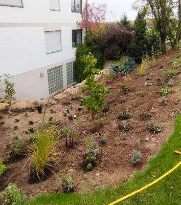 Gartenpflege Pflanzen Naturgarten Baumpflege Stauden Würzburg