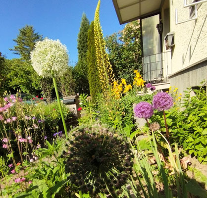 Gartenpflege Pflanzen Naturgarten Baumpflege Stauden Würzburg