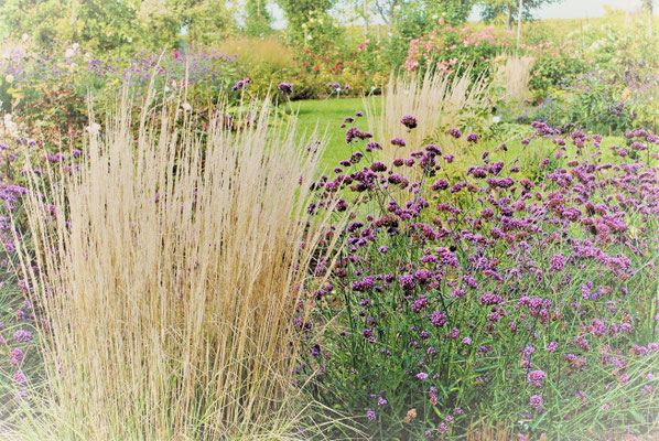 Gartenpflege Pflanzen Naturgarten Baumpflege Stauden Würzburg