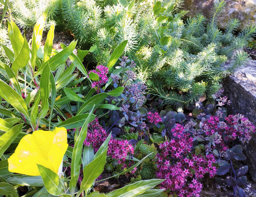 Gartenpflege Pflanzen Naturgarten Baumpflege Stauden Würzburg