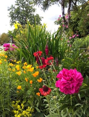 Gartenpflege Pflanzen Naturgarten Baumpflege Stauden Würzburg