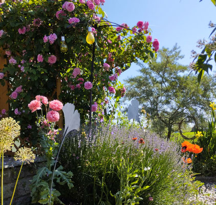 Gartenpflege Pflanzen Naturgarten Baumpflege Stauden Würzburg