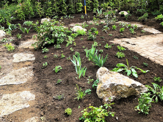 Gartenpflege Pflanzen Naturgarten Baumpflege Stauden Würzburg