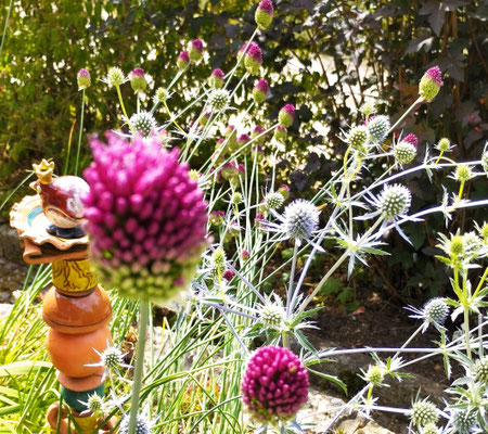 Gartenpflege Pflanzen Naturgarten Baumpflege Stauden Würzburg