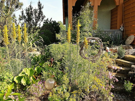 Gartenpflege Pflanzen Naturgarten Baumpflege Stauden Würzburg