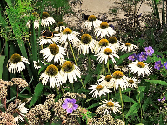 Gartenpflege Pflanzen Naturgarten Baumpflege Stauden Würzburg