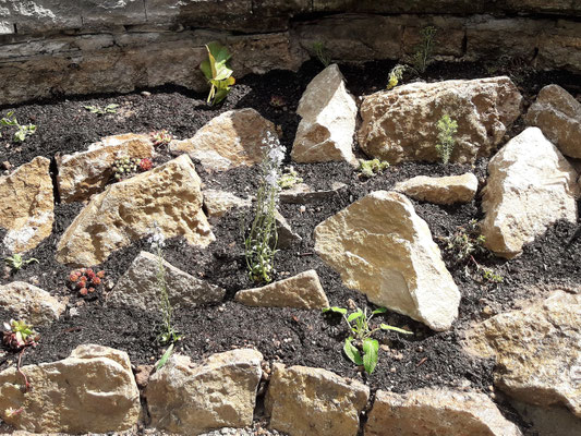 Natursteinarbeiten Pflasterarbeiten Trockenmauer Würzburg