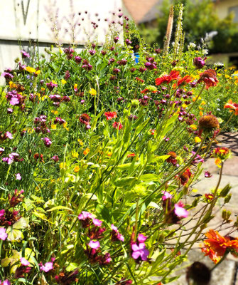 Gartenpflege Pflanzen Naturgarten Baumpflege Stauden Würzburg