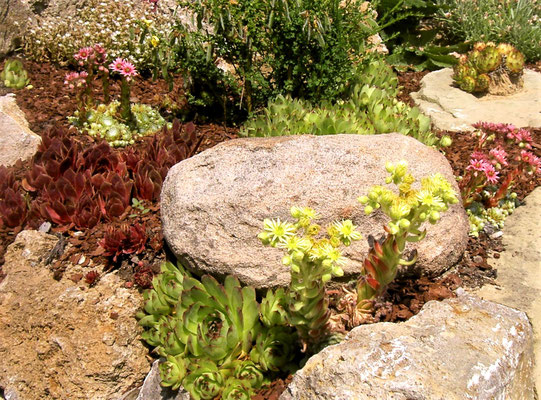 Gartenpflege Pflanzen Naturgarten Baumpflege Stauden Würzburg