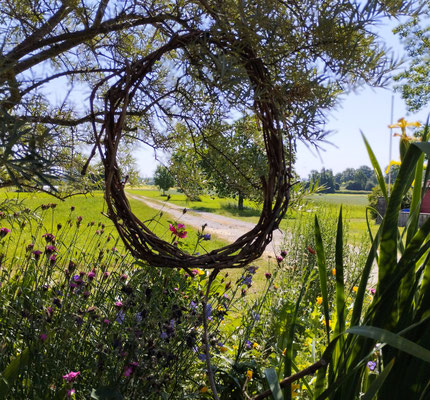 Gartenpflege Pflanzen Naturgarten Baumpflege Stauden Würzburg