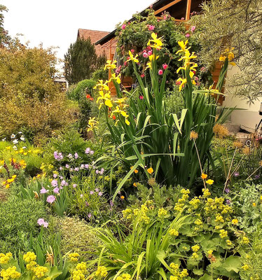 Gartenpflege Pflanzen Naturgarten Baumpflege Stauden Würzburg