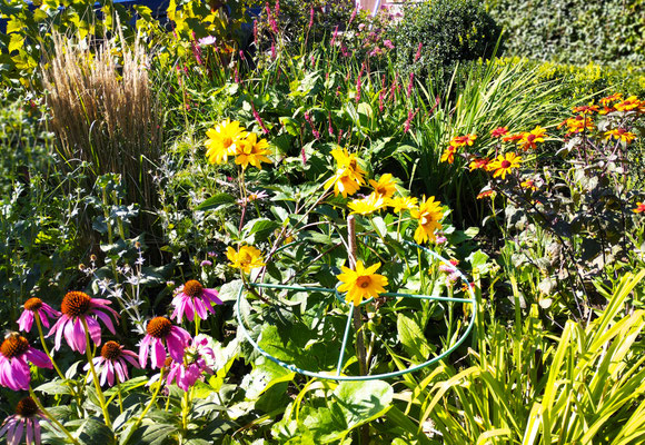 Gartenpflege Pflanzen Naturgarten Baumpflege Stauden Würzburg