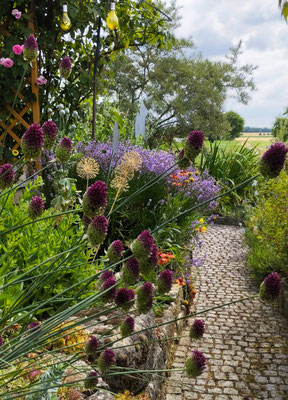 Gartenpflege Pflanzen Naturgarten Baumpflege Stauden Würzburg
