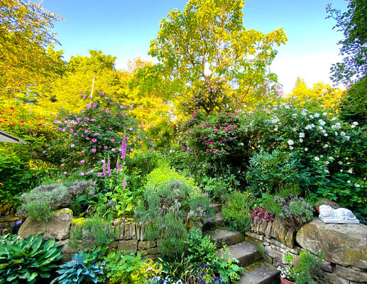 Gartenpflege Pflanzen Naturgarten Baumpflege Stauden Würzburg