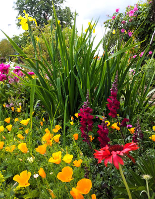 Gartenpflege Pflanzen Naturgarten Baumpflege Stauden Würzburg