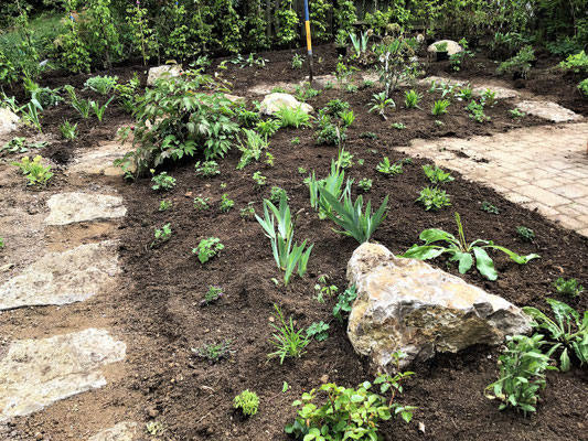 Gartenpflege Pflanzen Naturgarten Baumpflege Stauden Würzburg