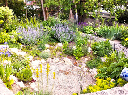 Gartenpflege Pflanzen Naturgarten Baumpflege Stauden Würzburg