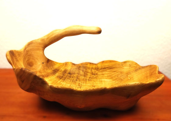 Wildholzschale Scheinzypresse