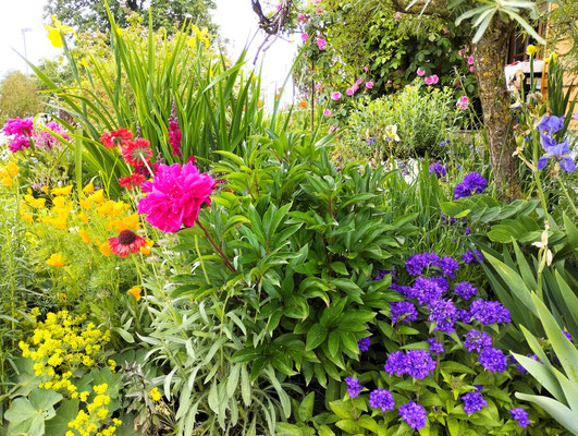 Gartenpflege Pflanzen Naturgarten Baumpflege Stauden Würzburg