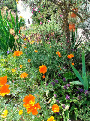 Gartenpflege Pflanzen Naturgarten Baumpflege Stauden Würzburg