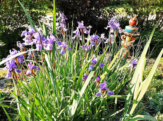 Gartenpflege Pflanzen Naturgarten Baumpflege Stauden Würzburg