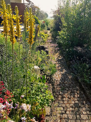 Gartenpflege Pflanzen Naturgarten Baumpflege Stauden Würzburg