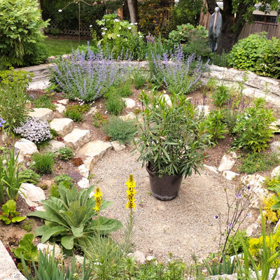 Gartenpflege Pflanzen Naturgarten Baumpflege Stauden Würzburg