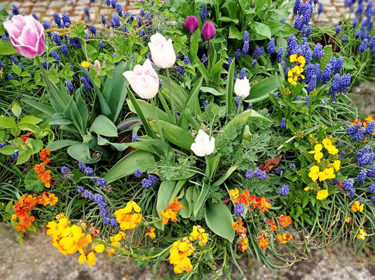 Gartenpflege Pflanzen Naturgarten Baumpflege Stauden Würzburg