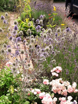 Gartenpflege Pflanzen Naturgarten Baumpflege Stauden Würzburg